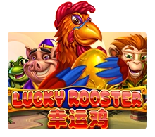 Lucky Rooster - SUPERBET388