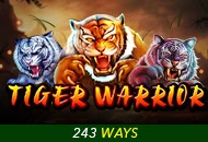 Tiger Warrior - SUPERBET388