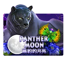 Panther Moon - SUPERBET388